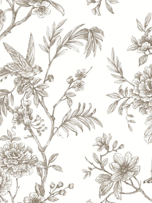 Jessamine Floral Trail Wallpaper In Taupe From The Moonlight Collection By Brewster Home Fashions