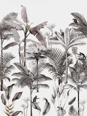 Above The Tropics Wall Mural In Grey By Walls Republic