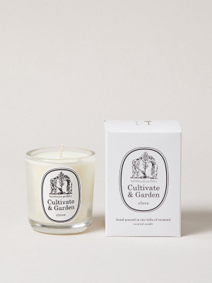 Cultivate & Garden Clove Candle