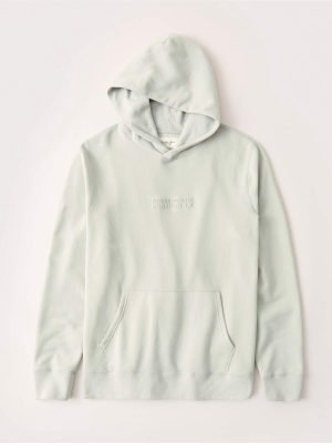 The A&f Perfect Popover Logo Hoodie