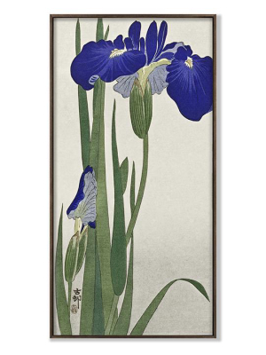 Grand Archives, Blue Iris