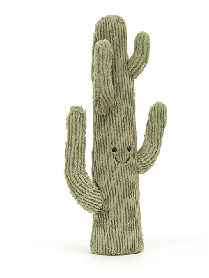 Amuseable Desert Cactus: Medium