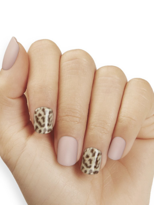 Pink Leopard