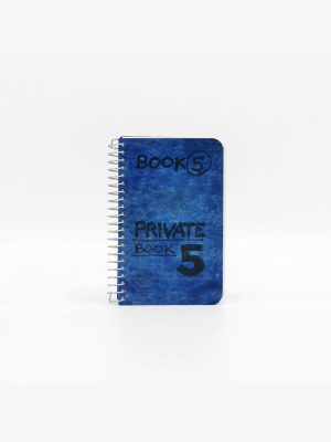 Lee Lozano: Private Book 5