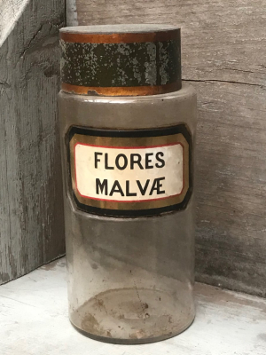 19th Century Apothecary Jar - Flores Malvæ