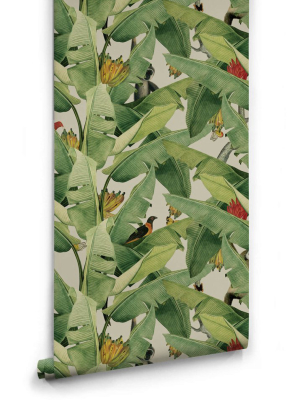 Jungle Fever Wallpaper (two Rolls) From The Kingdom Home Collection By Milton & King