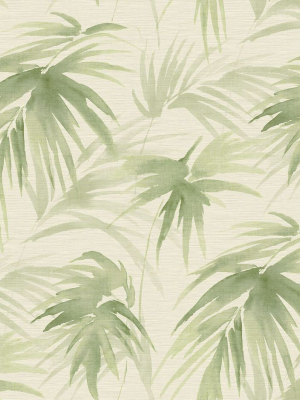 Darlana Grasscloth Wallpaper In Green From The Scott Living Collection By Brewster Home Fashions