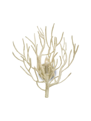 Eventide Wall Sconce