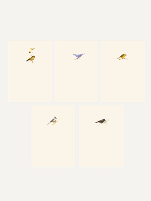 Box Set Of Six Assorted Bird Cards