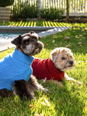 Cableknit Cashmere Dog Sweater, Navy