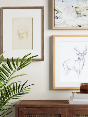 16" X 20" Deer Study Framed Under Glass With Mat - Threshold™