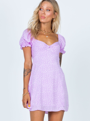 Freyah Mini Dress Purple