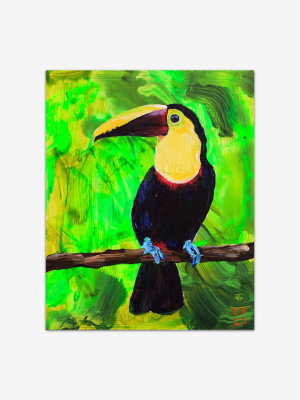 Toucan