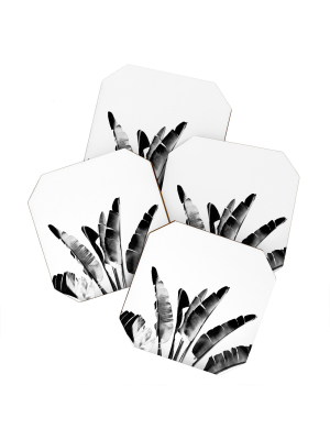 Gale Switzer Traveler Palm Bw Coaster Set - Deny Designs