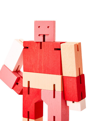 Cubebot Red Multi