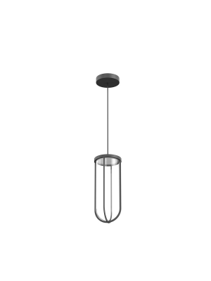 In Vitro Outdoor Suspension Light