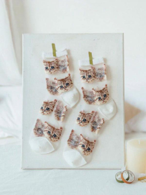 Cat Mesh Socks: White