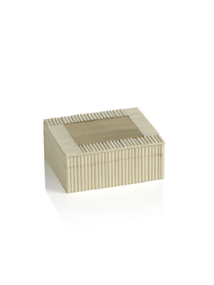 White Bone Chips And Brass Decorative Box