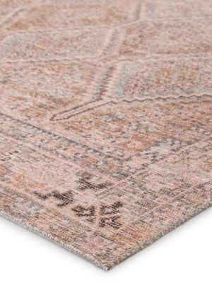 Marquesa Trellis Light Pink & Blue Rug