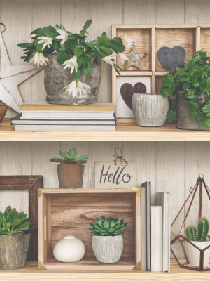 Beige Succulent Shelves Wallpaper By Walls Republic