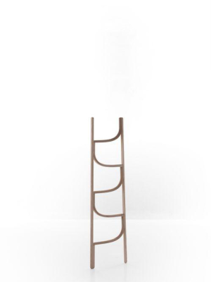 Bentwood Ladder By Gtv