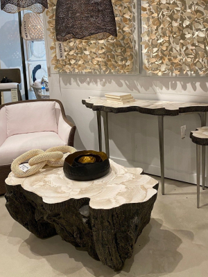 Chloe Fossil Clam Lava Coffee Table