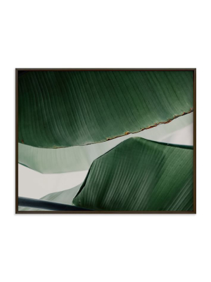 Minted For West Elm - Leaf Light