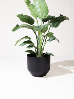 16" Spun Planter - Black - Wholesale - 1pc