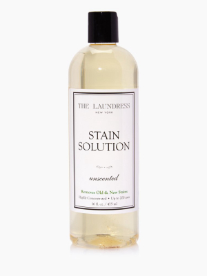 Unscented Stain Solution - 16 Fl Oz
