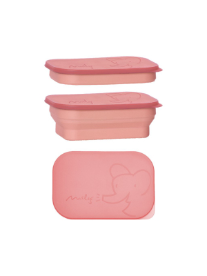 Lunch Box, Coral