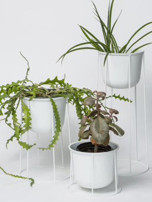 Wire Pot + Stand