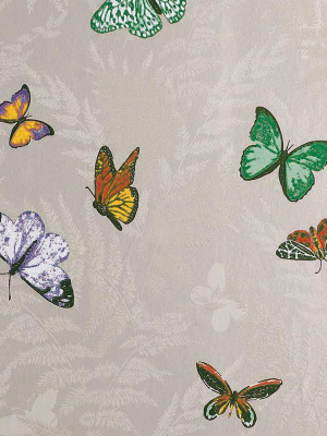 Sample Farfalla Wallpaper In Beige Background With Brilliantly Coloured Butterflies From The Lombardia Collection By Nina Campbell