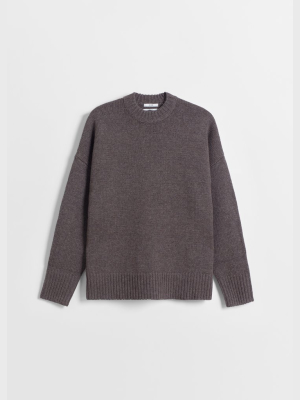 Boyfriend Crew Neck In Wool Cashmere - Brown