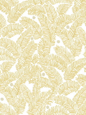 Athina Fern Wallpaper In Yellow From The Pacifica Collection By Brewster Home Fashions