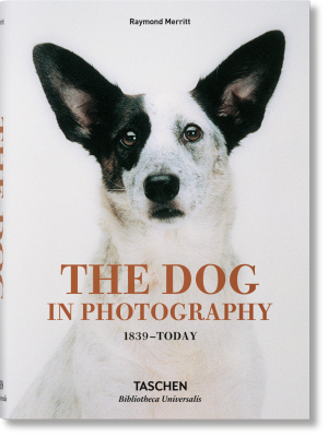 The Dog In Photography 1839–today