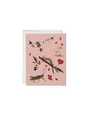 Little Bugs Thank You Card