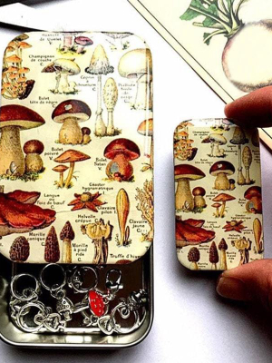 Mushroom Storage Tin - Small