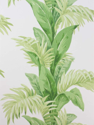 Palmetto Wallpaper In Green And Ivory By Nina Campbell For Osborne & Little