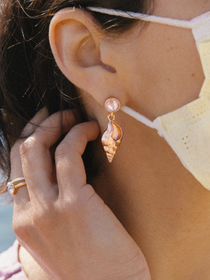 Conch Shell Drop Earrings