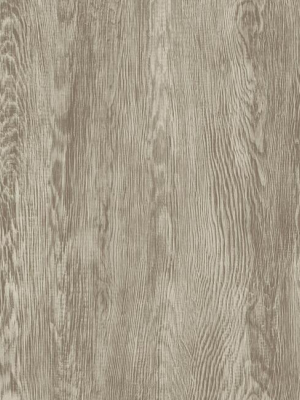 Quarter Sawn Wood Wallpaper In Brown From The Simply Farmhouse Collection By York Wallcoverings