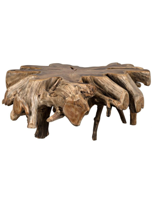 Teak Root Coffee Table