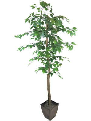 6' Artificial Tree - Lcg Florals