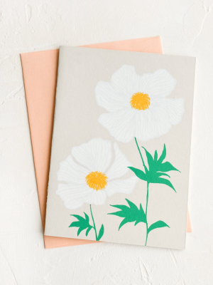 White Poppy Blank Card