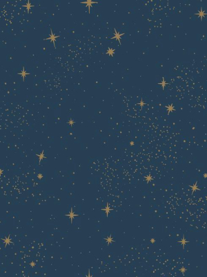 Upon A Star Peel & Stick Wallpaper In Navy By Roommates For York Wallcoverings