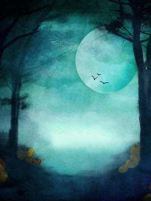 Moonlit Forest