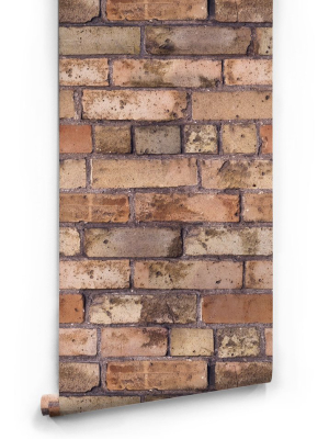 Old Brown Bricks Boutique Faux Wallpaper Design By Milton & King