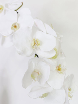 Large White Real Touch Fake Orchids - 44"