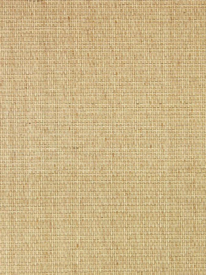 Paper Weave Er164 Wallpaper From The Essential Roots Collection By Burke Decor