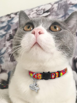 Custom Id Pet Collars (engraved Tag)