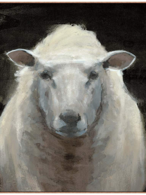 Portrait Of A Sheep Ii Framed